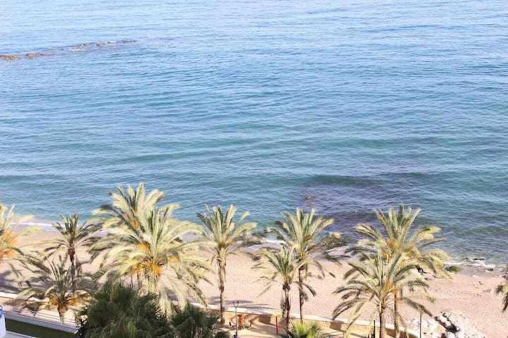 מארבלה Large Modern Beach Front Apartment, Rooftop Pool!! מראה חיצוני תמונה
